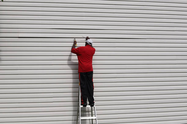 Best Insulated Siding Installation  in Lebanon, KY