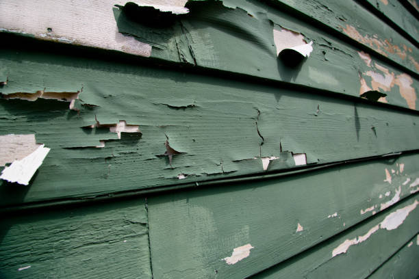 Siding Installation & Repair