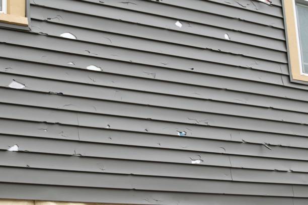 Best Aluminum Siding Installation  in Lebanon, KY