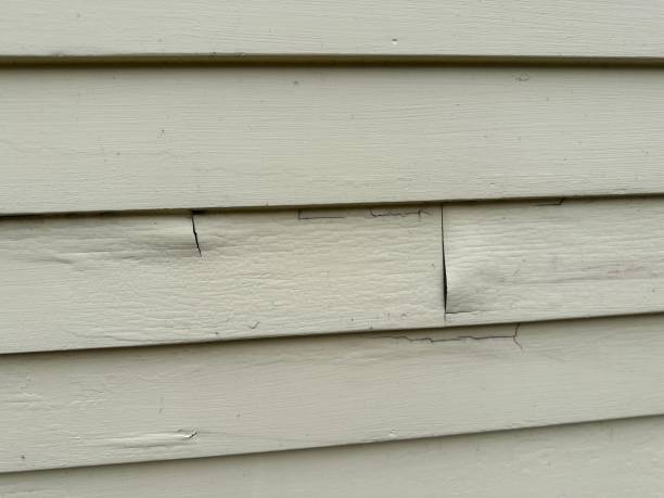 Best Custom Siding Design  in Lebanon, KY